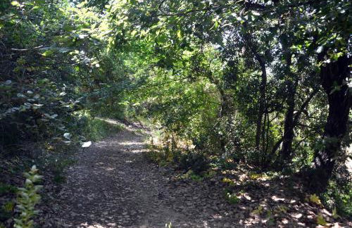 Villino Anna e Pippino - Foto 60