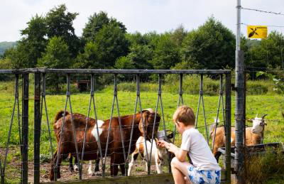 Maisonette FeWo im Haus Liane - Ferienhof by Baltic Home - Foto 7