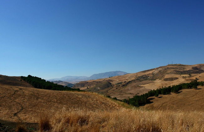 Chic Farmhouse with Sauna, Whirlpool, Patio, Hot Tub, Garden - Foto 30