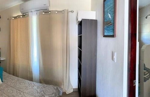 Morning Glory - Foto 14