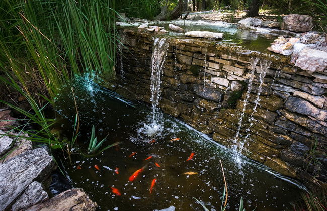 Beaver Lake Cottages - Foto 53