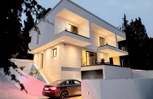 My seagull - Photo 60