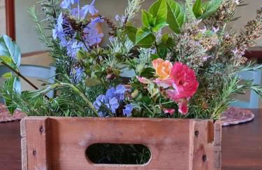 Podere Mencoini, stylish villa with private pool and olive garden - Photo 24