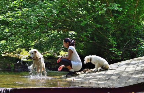 Casa de Aldea El Sol - Foto 34