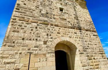 Studio pour deux avec terrasse aux portes de la Camargue - Foto 51