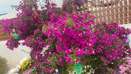 Maison Armandì - Foto 5