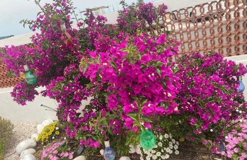 Maison Armandì - Foto 5