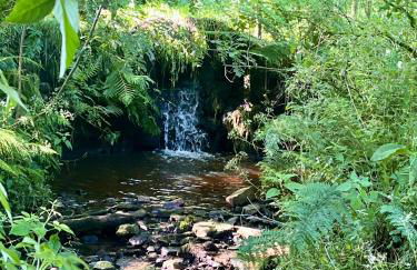 Summer Cottage in Onecote - Foto 20