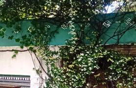 Grande chambre studio 23 m2 avec salle de bain, WC et kitchenette - Foto 9