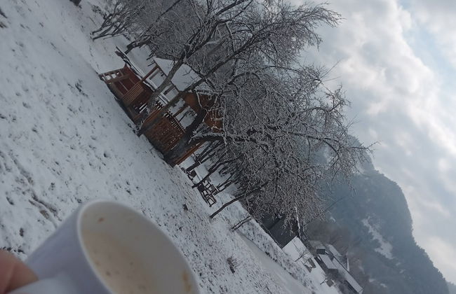 Room in Guest Room - Cozy Rural Retreat in Roşia Montana - Photo 36