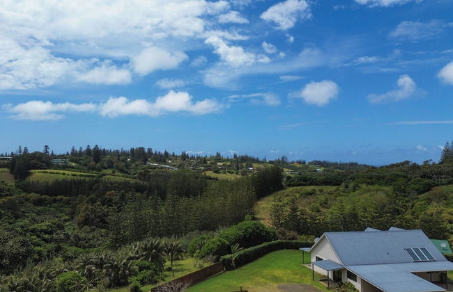 Ferny Lane House - Foto 40