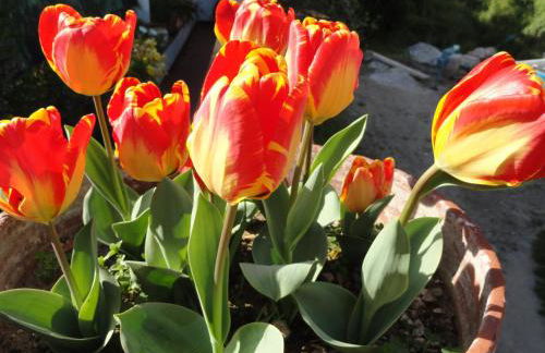 Chiaia Apartments by Caseaponza it - Foto 34