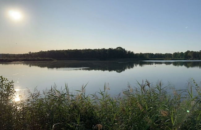 Holiday Home Seehutte - Foto 19