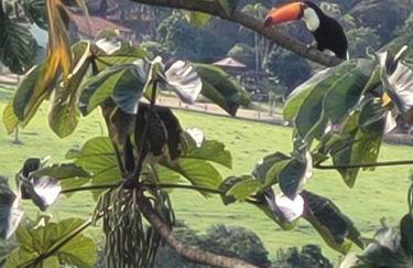 Paraiso em Piracaia - Belíssima Chácara - Photo 29