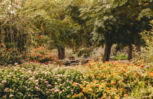 Dehesa de las Yeguas casa en finca privada con piscina y playa - Foto 35