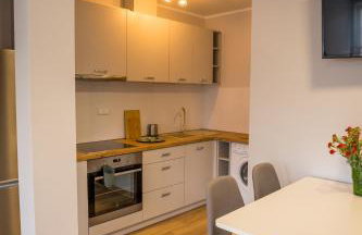 APARTAMENTY CENTRUM - Foto 15