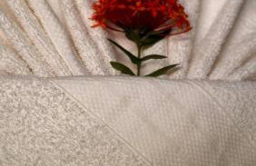 Recanto do Aconchego - Photo 5