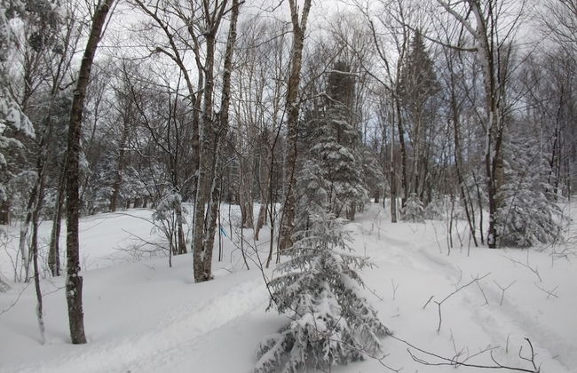 Bolton Condo 3 Bedroom Condo by RedAwning - Foto 17