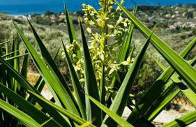 Panoraea Villa & Spa Pelion - Foto 20