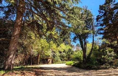 Holiday Home in Périgord Noir Dordogne in der Nähe von Limeuil by Interhome - Foto 20