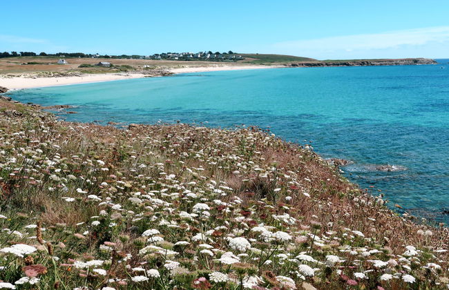 Stereden Vor - Foto 25