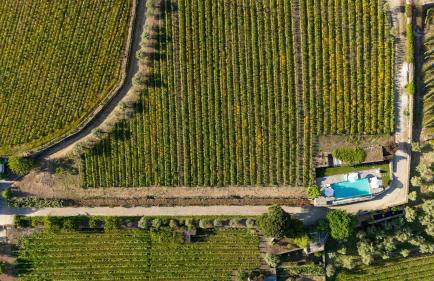 Casa do Vale - Retreat in the Douro Vineyards - Photo 32