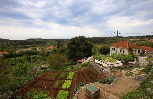Country House Bakicevo - Photo 39