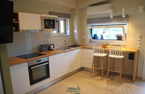 Bellisima Campagna Cabin Pelekapina - Chania Crete - Foto 9