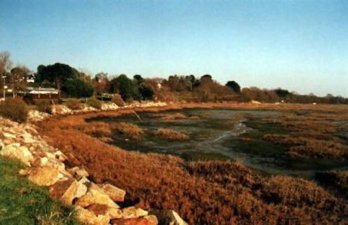 Le Goéland - Foto 3
