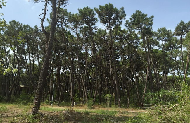 Holiday Home Grosseto Near Uccellina Beaches - Foto 35