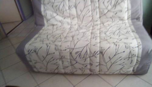 Appartement T2 lumineux CHU Stade Gaston Gérard 2 nuits minimum - Foto 5