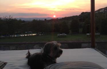 Agriturismo Le Torri di Porsenna - Photo 15