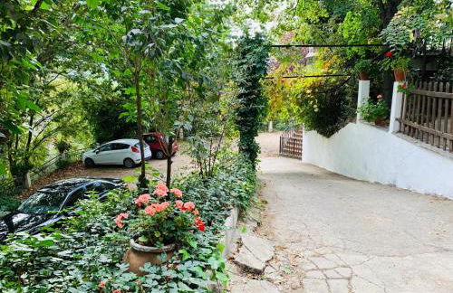 Barranco de la Salud - Photo 41