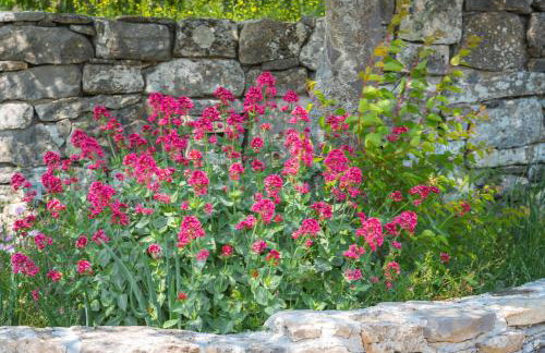 Holiday Home Vlatka - Foto 35