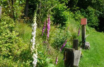 s'Heisl em Woid - Foto 23