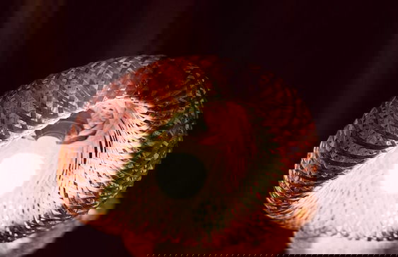 Cabana Gameleira - Foto 47