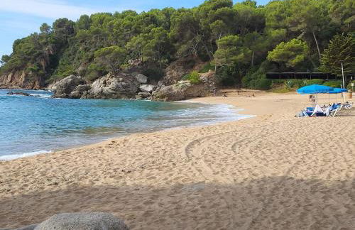 Apartment with garden and sea view Santa Cristina Blanes - Foto 49