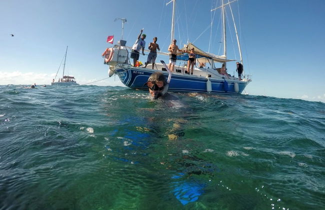 Miramar Villas Resort - Photo 70