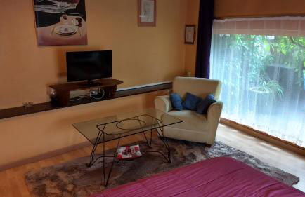 Logement cosy proche gare avec terrasse de verdure - Foto 4