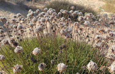Casa San Pasquale, casa panoramica immersa nella tranquillità - Foto 6