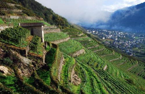 Casa Moiser - Foto 36