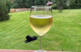 Wichrowe Wzgórze 4 - Foto 8