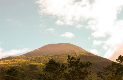 Casas do Amarelo - Photo 9