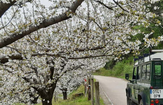 Balade en 4x4 dans la Gorge des enfers et à Los Pilones - Photo 1
