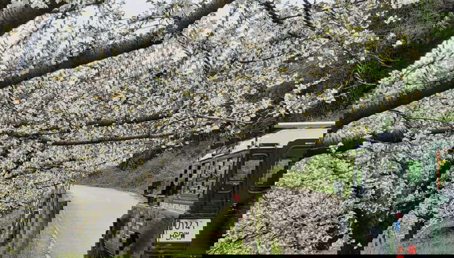 Tour in Jerte - Photo 1