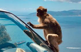 Apartamenty MERION - Photo 39