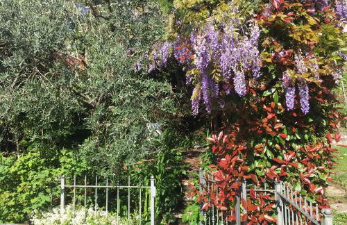 Cav di Gianfranco - Foto 37