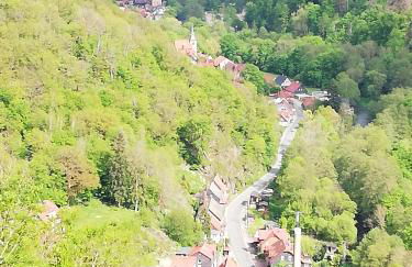 Alte Forsterei - Foto 9