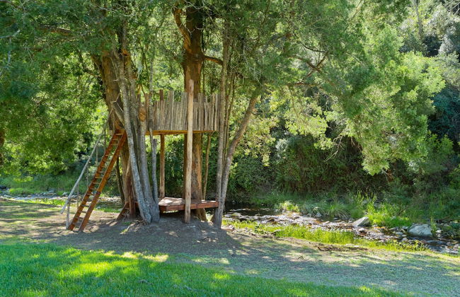 Amazing Riverside Retreat With Hot Tub & Ecopool - Foto 28