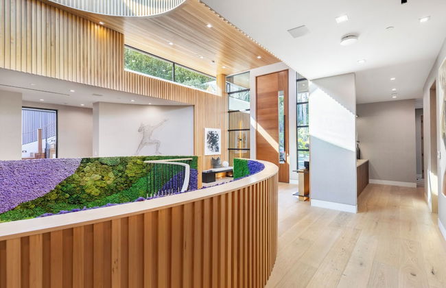 Somera Masterpiece - Photo 4